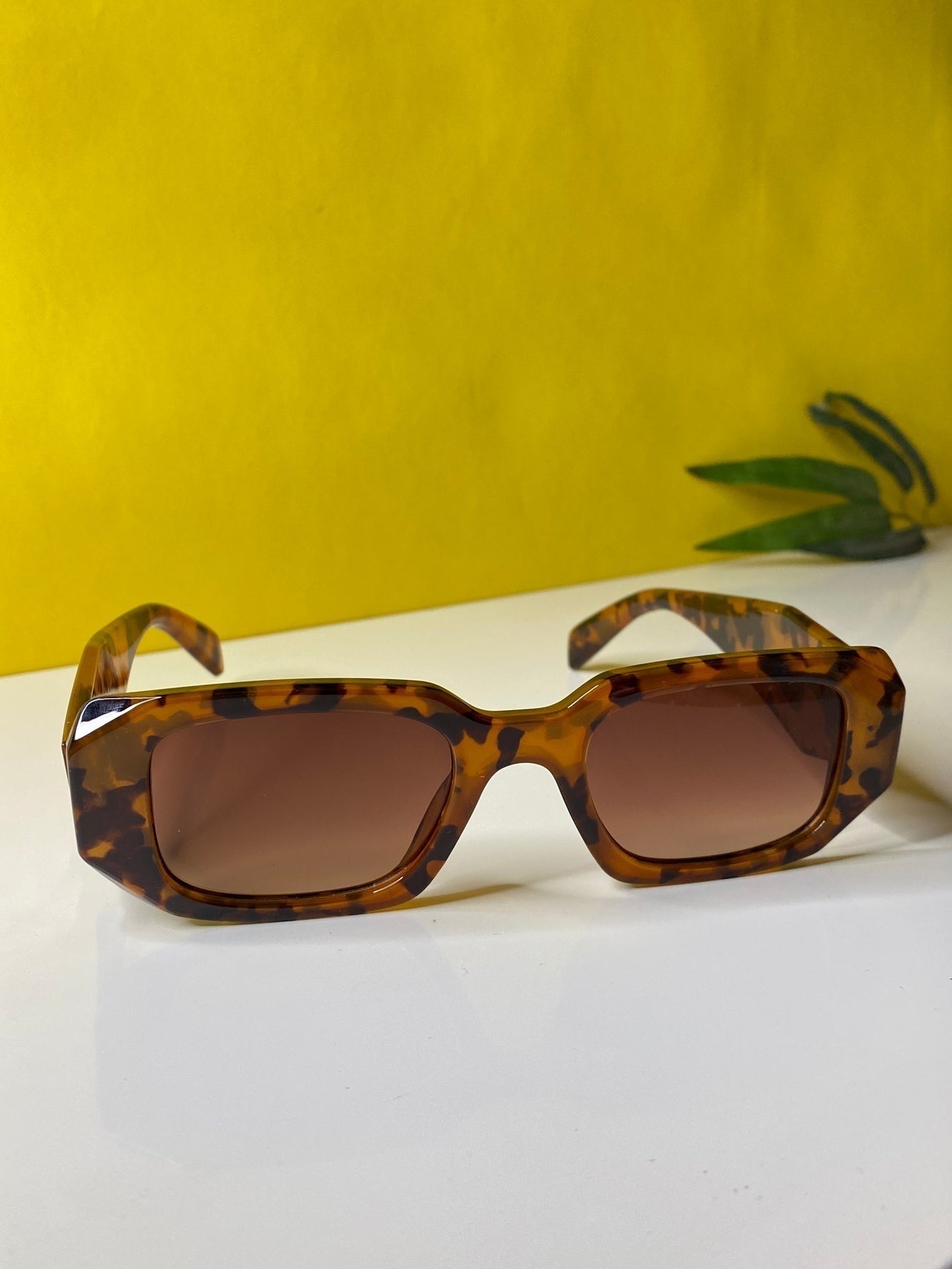 Valentino Sunnies