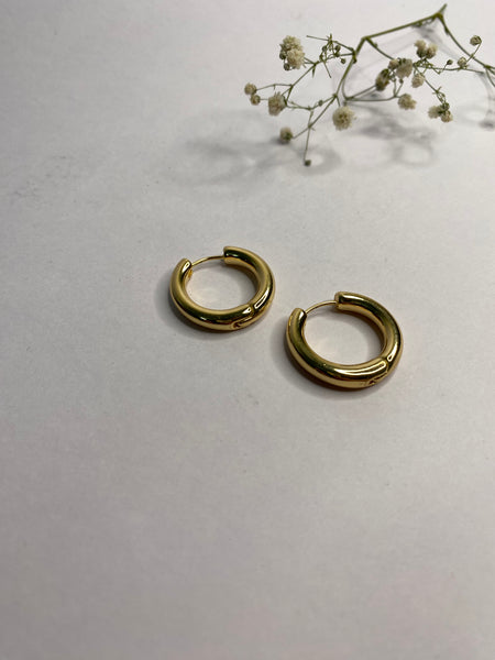 Lily Gold Hoops