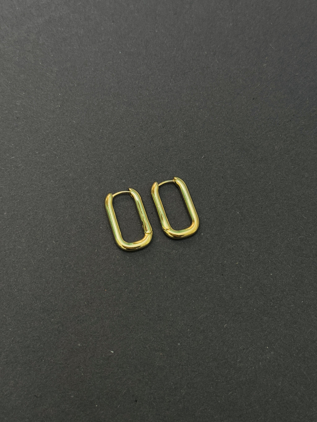 Lara Hoops